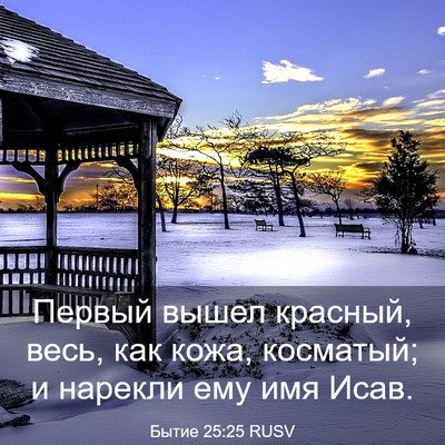 Picture 03 - Бытие 25:25 RUSV - Первый вышел красный, весь, - Bible Verse Picture