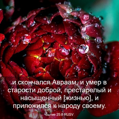Picture 03 - Бытие 25:8 RUSV - и скончался Авраам, и умер - Bible Verse Picture