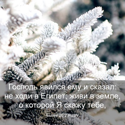 Picture 03 - Бытие 26:2 RUSV - Господь явился ему и - Bible Verse Picture