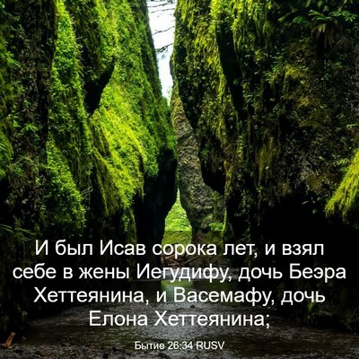 Picture 03 - Бытие 26:34 RUSV - И был Исав сорока лет, и - Bible Verse Picture