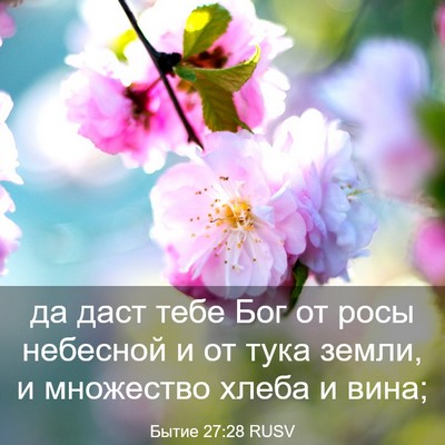 Picture 03 - Бытие 27:28 RUSV - да даст тебе Бог от росы - Bible Verse Picture