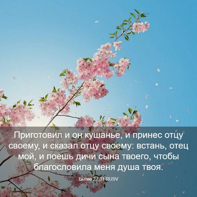 Picture 03 - Бытие 27:31 RUSV - Приготовил и он кушанье, и - Bible Verse Picture
