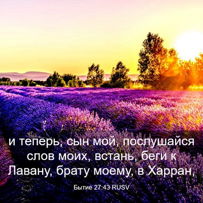 Picture 03 - Бытие 27:43 RUSV - и теперь, сын мой, - Bible Verse Picture
