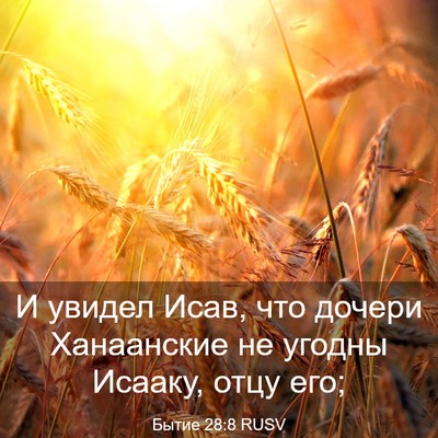 Picture 03 - Бытие 28:8 RUSV - И увидел Исав, что дочери - Bible Verse Picture