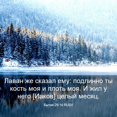 Picture 03 - Бытие 29:14 RUSV - Лаван же сказал ему: - Bible Verse Picture