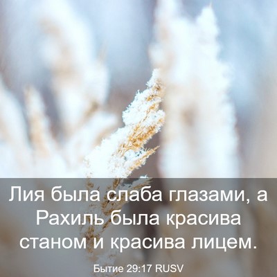 Picture 03 - Бытие 29:17 RUSV - Лия была слаба глазами, а - Bible Verse Picture