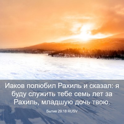 Picture 03 - Бытие 29:18 RUSV - Иаков полюбил Рахиль и - Bible Verse Picture