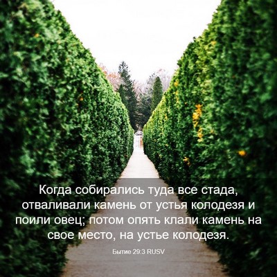 Picture 03 - Бытие 29:3 RUSV - Когда собирались туда все - Bible Verse Picture