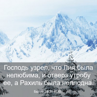 Picture 03 - Бытие 29:31 RUSV - Господь узрел, что Лия была - Bible Verse Picture