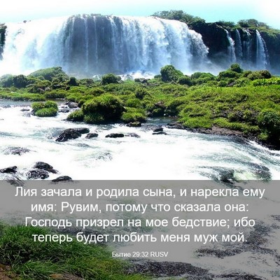 Picture 03 - Бытие 29:32 RUSV - Лия зачала и родила сына, и - Bible Verse Picture