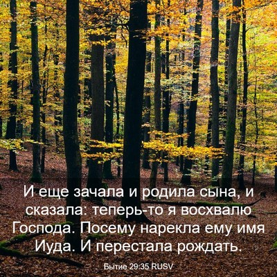 Picture 03 - Бытие 29:35 RUSV - И еще зачала и родила сына, - Bible Verse Picture