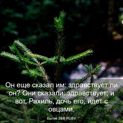 Picture 03 - Бытие 29:6 RUSV - Он еще сказал им: - Bible Verse Picture