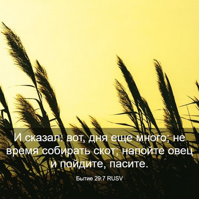 Picture 03 - Бытие 29:7 RUSV - И сказал: вот, дня еще - Bible Verse Picture