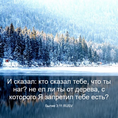 Picture 03 - Бытие 3:11 RUSV - И сказал: кто сказал тебе, - Bible Verse Picture