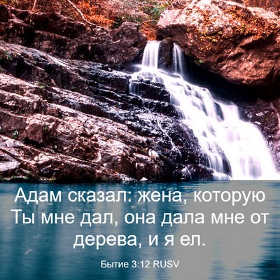 Picture 03 - Бытие 3:12 RUSV - Адам сказал: жена, которую - Bible Verse Picture