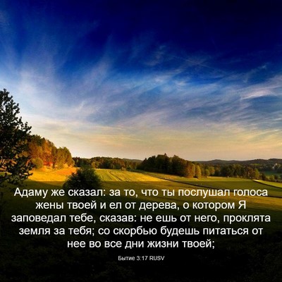 Picture 03 - Бытие 3:17 RUSV - Адаму же сказал: за то, что - Bible Verse Picture