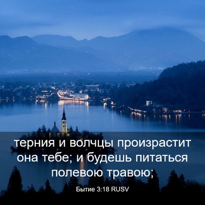 Picture 03 - Бытие 3:18 RUSV - терния и волчцы - Bible Verse Picture