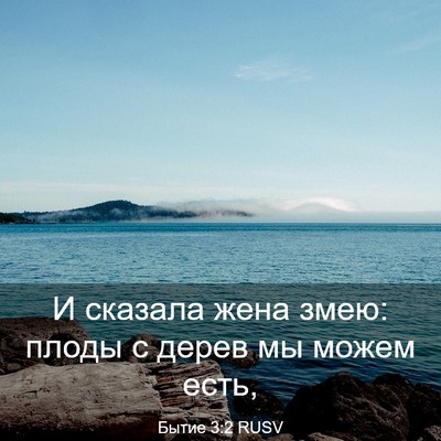 Picture 03 - Бытие 3:2 RUSV - И сказала жена змею: плоды - Bible Verse Picture