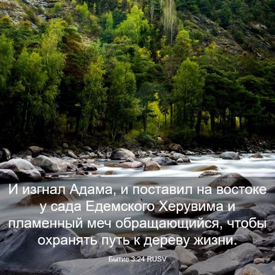 Picture 03 - Бытие 3:24 RUSV - И изгнал Адама, и поставил - Bible Verse Picture