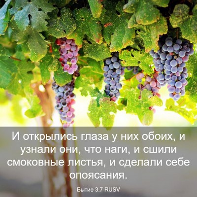 Picture 03 - Бытие 3:7 RUSV - И открылись глаза у них - Bible Verse Picture
