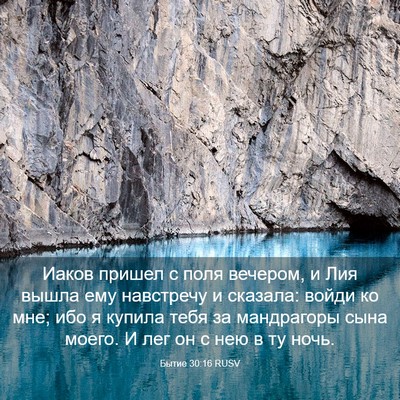 Picture 03 - Бытие 30:16 RUSV - Иаков пришел с поля - Bible Verse Picture