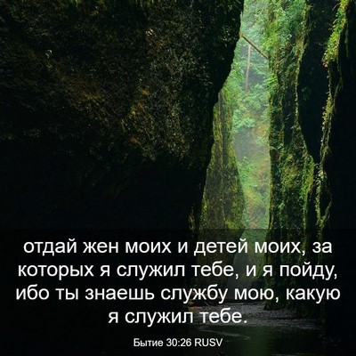 Picture 03 - Бытие 30:26 RUSV - отдай жен моих и детей - Bible Verse Picture