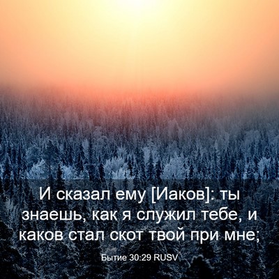 Picture 03 - Бытие 30:29 RUSV - И сказал ему [Иаков]: ты - Bible Verse Picture