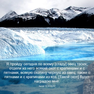 Picture 03 - Бытие 30:32 RUSV - Я пройду сегодня по всему - Bible Verse Picture