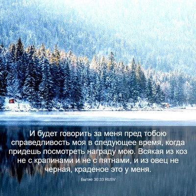 Picture 03 - Бытие 30:33 RUSV - И будет говорить за меня - Bible Verse Picture