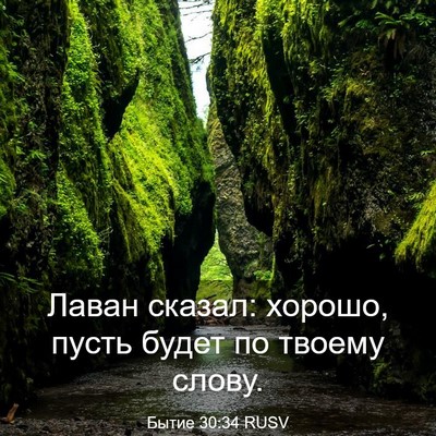 Picture 03 - Бытие 30:34 RUSV - Лаван сказал: хорошо, пусть - Bible Verse Picture