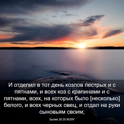 Picture 03 - Бытие 30:35 RUSV - И отделил в тот день козлов - Bible Verse Picture