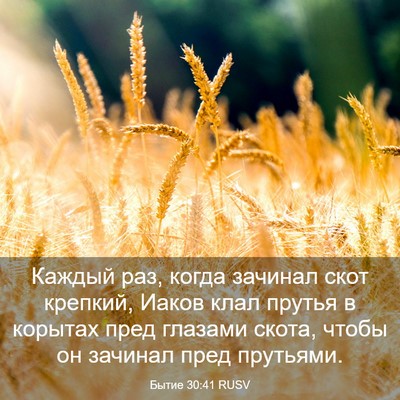 Picture 03 - Бытие 30:41 RUSV - Каждый раз, когда зачинал - Bible Verse Picture
