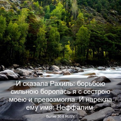 Picture 03 - Бытие 30:8 RUSV - И сказала Рахиль: борьбою - Bible Verse Picture