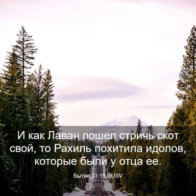 Picture 03 - Бытие 31:19 RUSV - И как Лаван пошел стричь - Bible Verse Picture