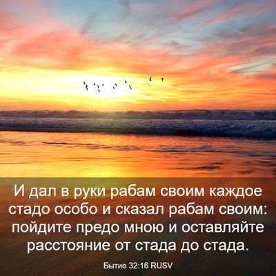 Picture 03 - Бытие 32:16 RUSV - И дал в руки рабам своим - Bible Verse Picture