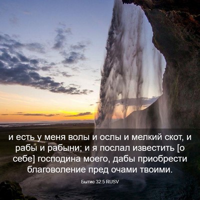 Picture 03 - Бытие 32:5 RUSV - и есть у меня волы и ослы и - Bible Verse Picture