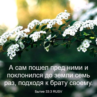 Picture 03 - Бытие 33:3 RUSV - А сам пошел пред ними и - Bible Verse Picture