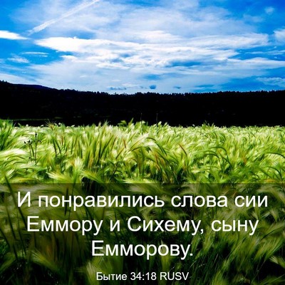Picture 03 - Бытие 34:18 RUSV - И понравились слова сии - Bible Verse Picture