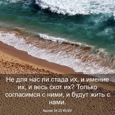 Picture 03 - Бытие 34:23 RUSV - Не для нас ли стада их, и - Bible Verse Picture