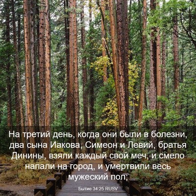 Picture 03 - Бытие 34:25 RUSV - На третий день, когда они - Bible Verse Picture
