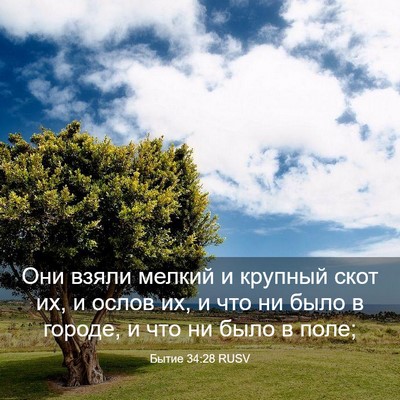 Picture 03 - Бытие 34:28 RUSV - Они взяли мелкий и крупный - Bible Verse Picture