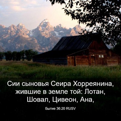 Picture 03 - Бытие 36:20 RUSV - Сии сыновья Сеира - Bible Verse Picture