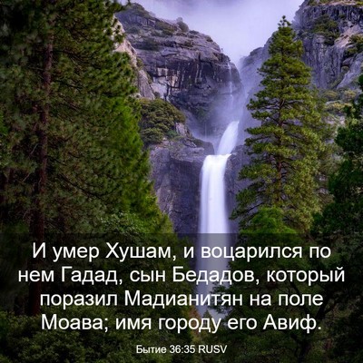 Picture 03 - Бытие 36:35 RUSV - И умер Хушам, и воцарился - Bible Verse Picture