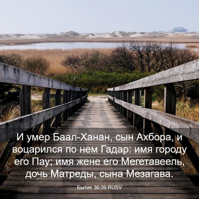Picture 03 - Бытие 36:39 RUSV - И умер Баал-Ханан, сын - Bible Verse Picture
