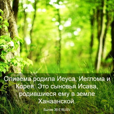 Picture 03 - Бытие 36:5 RUSV - Оливема родила Иеуса, - Bible Verse Picture