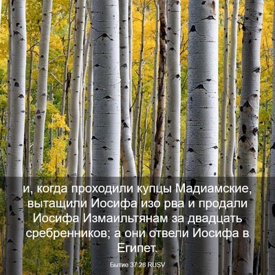 Picture 03 - Бытие 37:28 RUSV - и, когда проходили купцы - Bible Verse Picture
