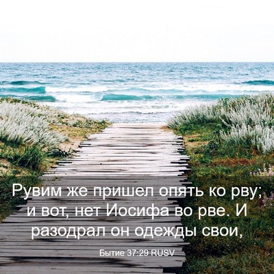Picture 03 - Бытие 37:29 RUSV - Рувим же пришел опять ко - Bible Verse Picture
