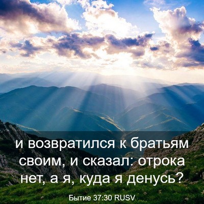 Picture 03 - Бытие 37:30 RUSV - и возвратился к братьям - Bible Verse Picture