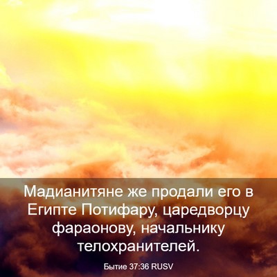 Picture 03 - Бытие 37:36 RUSV - Мадианитяне же продали его - Bible Verse Picture