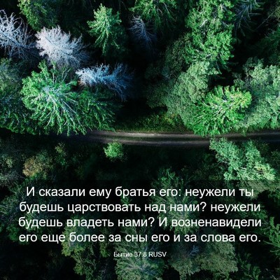 Picture 03 - Бытие 37:8 RUSV - И сказали ему братья его: - Bible Verse Picture